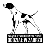 logo-bt